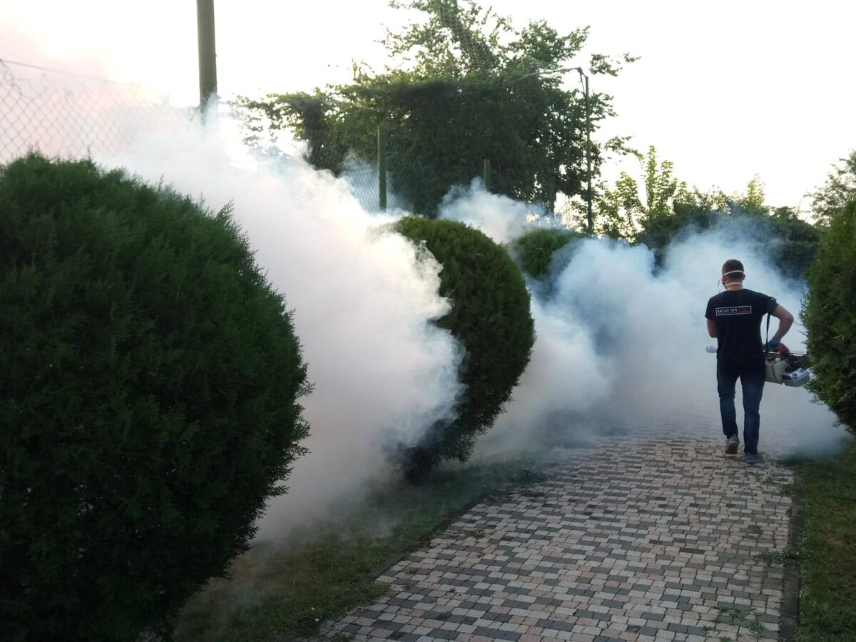 Despre noi Solution Atac 2 1