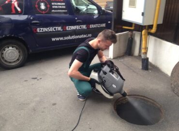 servicii dezinsectie 17 e1732119756429