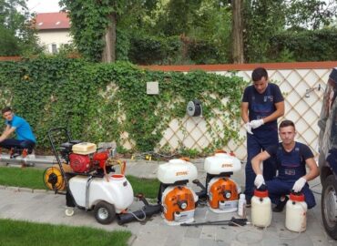 servicii dezinsectie 5 e1732119645846