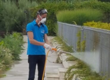servicii dezinsectie 7 e1732119828106